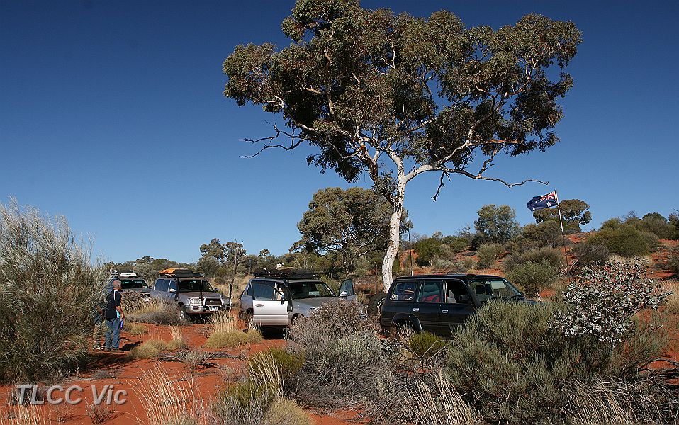 11-The first of many Marble Gums on the Anne Beadell.JPG